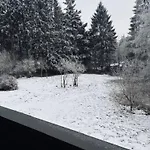 Am Waldseebad