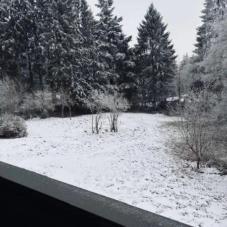 Am Waldseebad